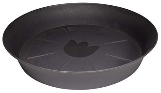 Podkvtin Tulipn - d 22 cm, an